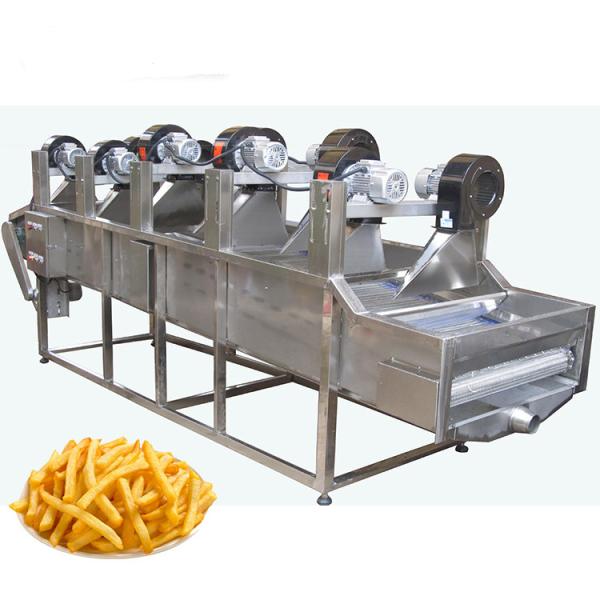 Máquina de secagem industrial de frutas para secar alimentos e vegetais