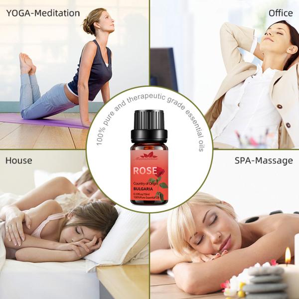OEM natural orgânico MSDS do aroma dos TERMAS de 10ml 100% Rose Essential Oil Body Massage