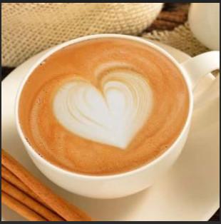 Commercial Bean to Cup Espresso Coffee Machine Stainless Steel