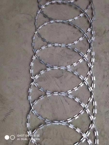 Diseño especial ampliamente utilizado fábrica Concertina en caliente sumergido galvanizado de la navaja de la navaja de alambre de púas alambre de la concertina de la hebra triple