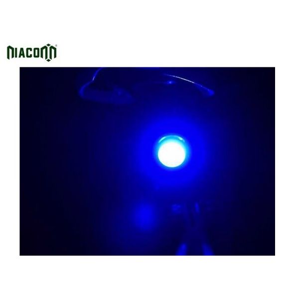 Blue / White Light USB Bike Tail Light With Rechargeable 650mah Battery
