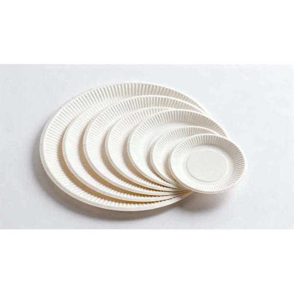 Biodegradable Disposable Paper Plates Ecofriendly Heavy Duty Round Design Suitable Catering Events Parties Picnics and Outdoor