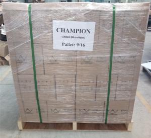 Champion Storage Battery Company Limited