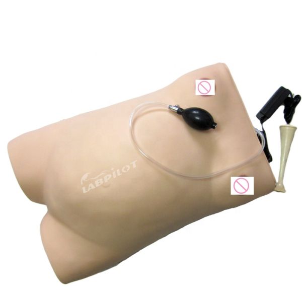 Human Life Size Pregnancy Manikin Auscultation Teaching Simulator for Medical Science