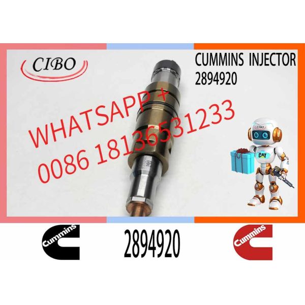 Parties de machines de construction Injecteur de carburant pour moteur diesel ISZ13 1881565 2872405 2894920 1948565 Pour moteur diesel Cummins