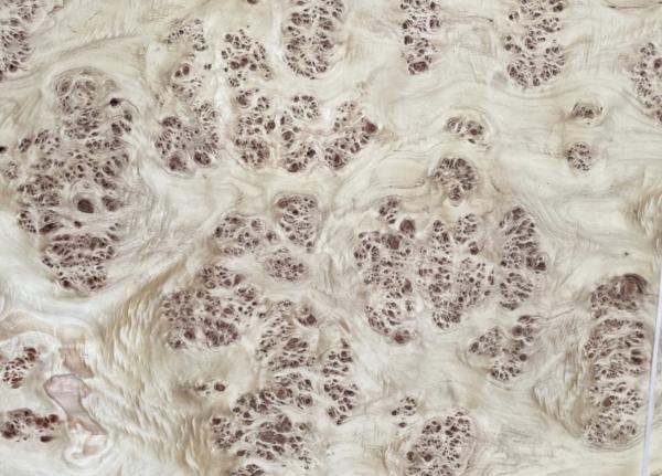 Mappa Burl Wood Veneer Length 0.5m-2m / 2cm-2.44m/ 2.45m-3.6m