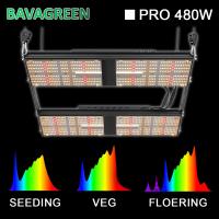 O diodo emissor de luz de BAVA que floresce 480w cresce a placa uv do quantum das luzes LM301H qb288 ir