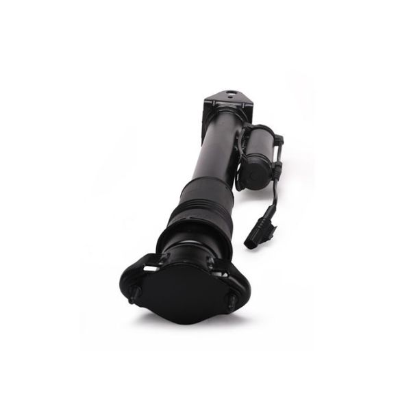 2513201931 Benz R Class W251 Air Suspension Shock Absorber