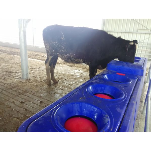 Terrui Livestock Auto Waterer The Ultimate Solution for Automated Watering