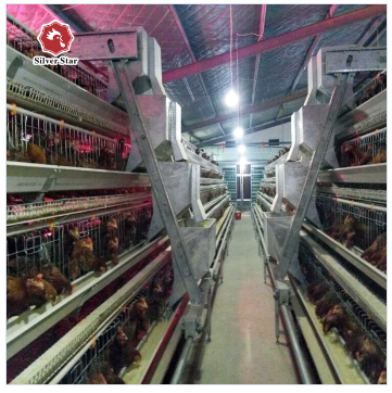 120 Chickens / Set Battery Baby Chick Cage Broiler Chicken Farming Materials