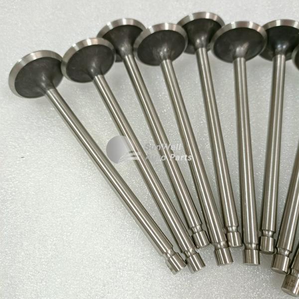 Original Engine Parts for QSB6.7 ISDE Exhaust Valve 3940734 3802967
