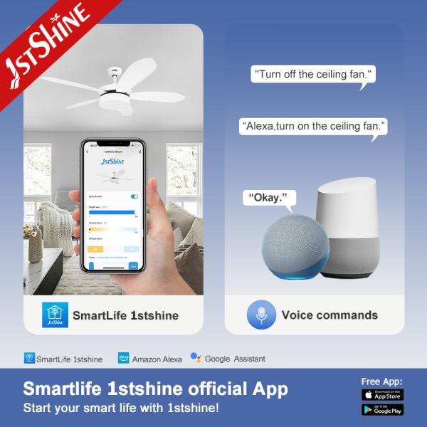1stshine LED Ceiling Fan with Remote and 5 Speed Input Voltage V 110-240V-50-60Hz DC