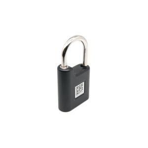 Нержавеющая сталь небольшое Bluetooth Padlock IPX67 водоустойчивое SMDT