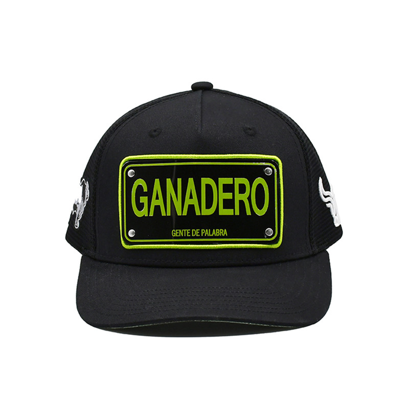 Крышка водителя грузовика панели высоко-профильного 5 в черном красном белом голубом изготовленном на заказ цвете