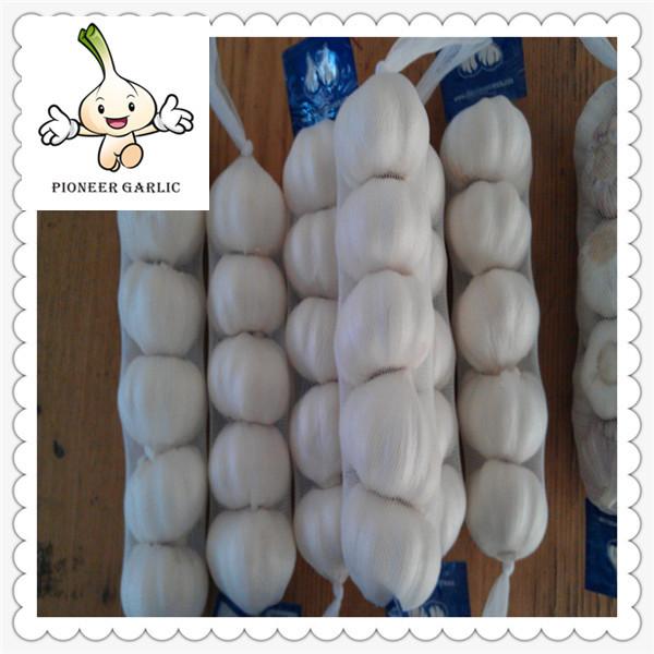 Chinese fresh garlic low price PURE WHITE natural hot sale