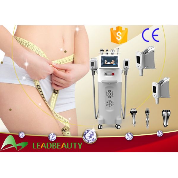 5 cryo handles cryolipolysis cavitation rf slimming machine cool tech shape fat freezing lipo machine