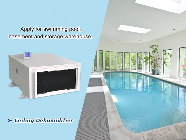 240L/D Ceiling Mounted Dehumidifier Industrial Grow Room Greenhouse Dehumidifiers for Indoor Swimming Pools
