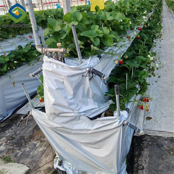 SAINPOLY Hydroponic Strawberry Greenhouse With Planting Systems Easily Assembled