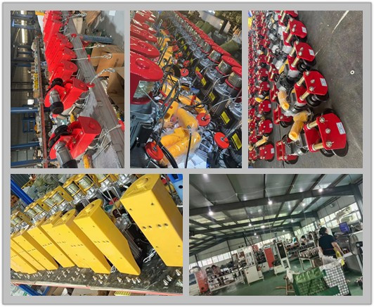 10m/Min 5m/Min Wall Mounted Electric Hoist Lightweight Mini Rope Hoist