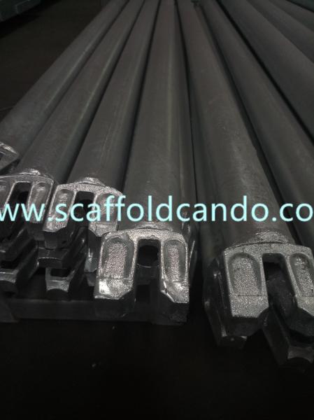 Factory specialized in Hot dip galvanized painted Ringlock scaffold ledger horizontal 1200,1500,1800mmL for sale