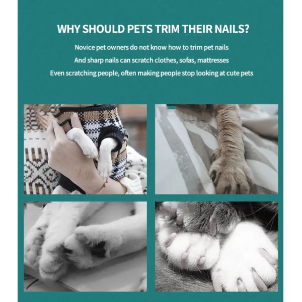 Cortador de preparación de acero inoxidable Clippers del clavo de los gatos de los perros de las tijeras del animal doméstico