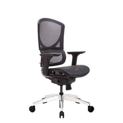 ISEE X Swivel Ergonomic Office Chairs BAS System Rolling With Back Support Full Mesh