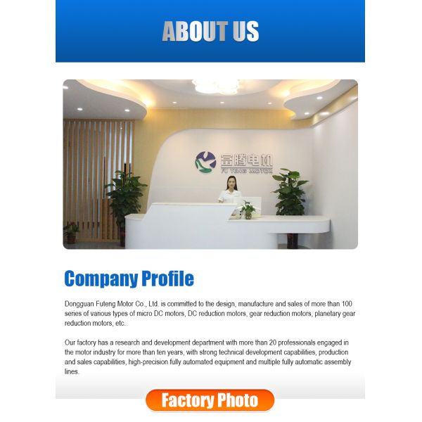 Customized DC  12v  Spur Geared Motor for Rotary Display Stand