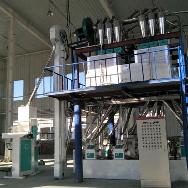30-500 tpd máquina de moagem de farinha de trigo integral de rolos usados no Bangladesh