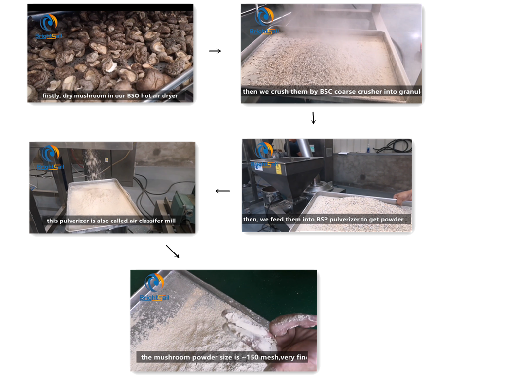 20-1800 kilogramos por la hora 60 a la máquina de 2500 Mesh Fineness Dry Ginger Grinding