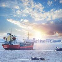 Servicio de transporte marítimo de carga FCL LCL desde a EE.UU. Destino de envío LT Lituania para su carga sensible a la temperatura