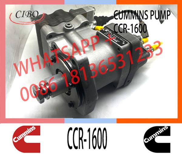 Conjunto original 3973228 CCR1600 da bomba do motor do combustível para o ccr 1600 da bomba 3973228 da injeção do motor de QSL