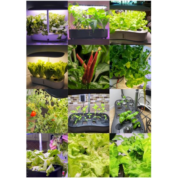 24 Watt Indoor Mini Garden Hydroponic Growing System 3 Mode 110-240VAC