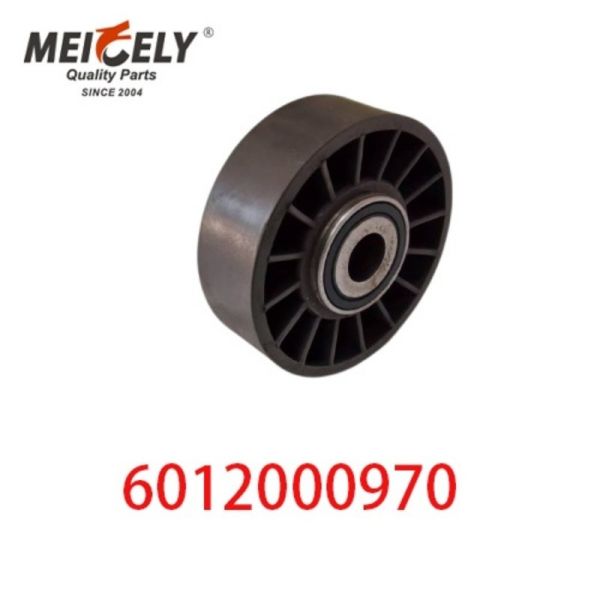 6012000970 9146139 Pièces détachées de moteur automobile