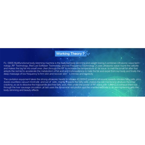 Professional Wrinkle Remover Machine For Face , Fractional Rf Machine 60HZ