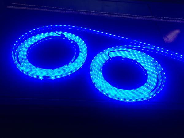 Blue Green Red Tri color LED Flexible Strip Lights 3528 2835 5050 LED