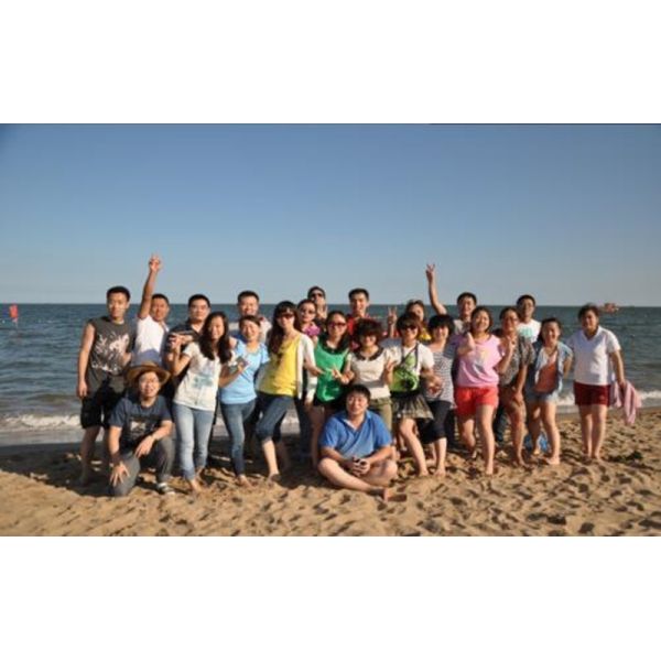 Jinan Dragon Steel Balls Co.,Ltd