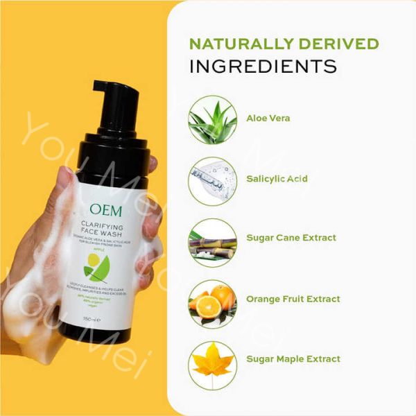 Nettoyeur de visage pour soins de la peau biologique, mousse de lavage par mousse mousse salieuse pour éliminer les taches