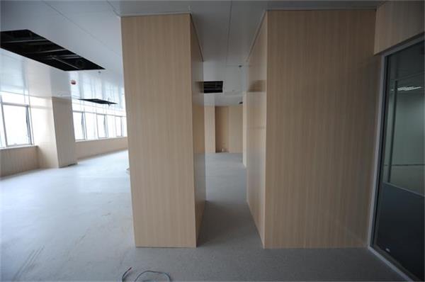 Wood Grain Luxury Decorative Metal Wall Panels of Aluminium Composite