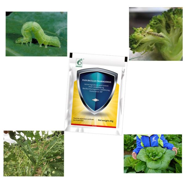 Eco-friendly Biological Pesticide PrGV Plus Bt with 10000 PIB/mg PrGV+16000IU/mg Bt for No Pesticide Residue Vegetable Protection