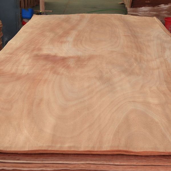 Береза смотрела на панели облицовки украшения первый класс естественной деревянной разнослоистый