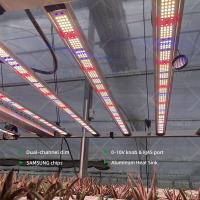 ANDY Double-canal 10 Bar 1100W UV Plant Light en gros SAMSUNG LM301H EVO LM281B Plein spectre 1100 Watt LED Lumières de croissance