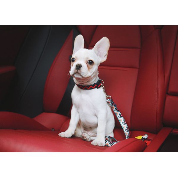 Polyester Pet Car Seatbelt Jeep Heavy Duty Dog Car Seat Belt Pet Collar Leash