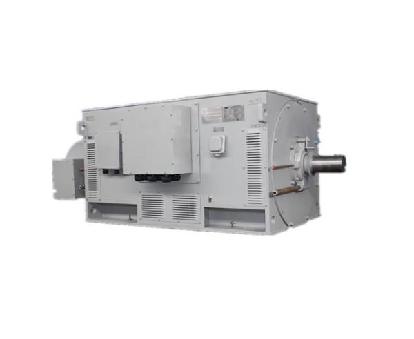 5000kW 6kV IP54 IMB3 HV Electric Motor YR 8001-4 Class F