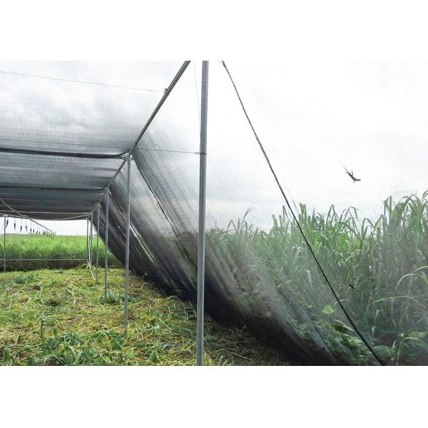 Customized Insect Protection Shade House Greenhouse Garden Shade House