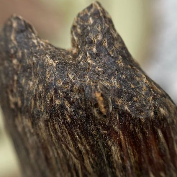 Top grade OUD Agarwood resin pieces excellent choice for luxury candle making and sophisticated aroma diffuser creations