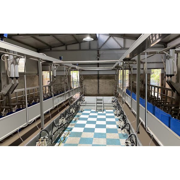 Farms Dairy High Productivity Milking Parlor Equipment Flexible Goat Milking Parlor