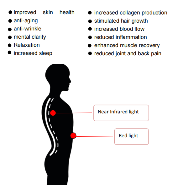 Портативный обломок терапией 300w света СИД 660nm 850nm красный ультракрасный двойной