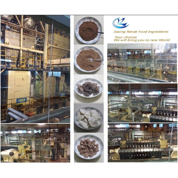 Ecuador Natural Organic Raw material Cocoa powder s9 fat10%-12% For baking ice cream and beverages