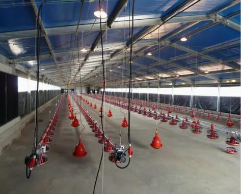 Stable And Durable Prefabricated Steel Structure Poultry Farm Building