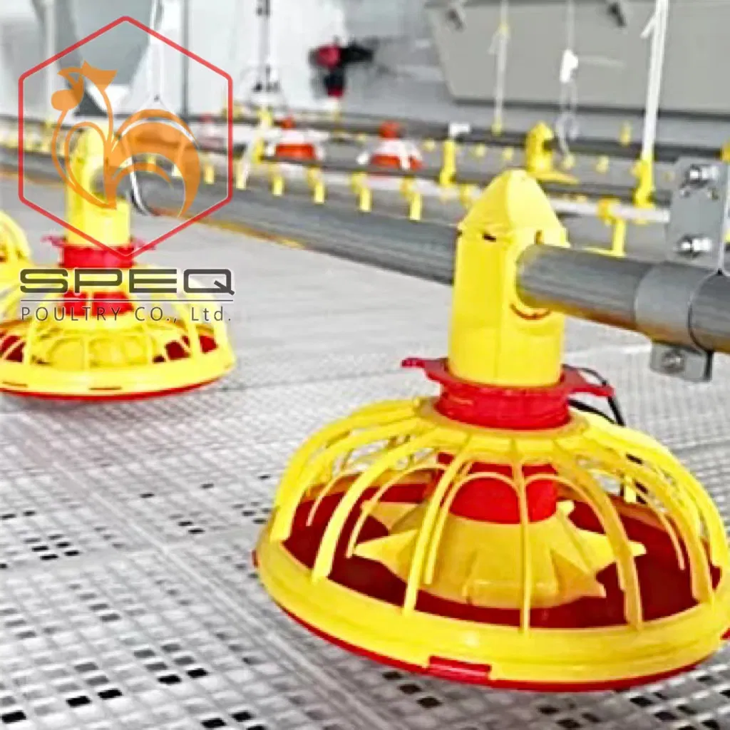 Customizable Poultry Breeding Broiler Equipment Chicken Farm Feeding Line